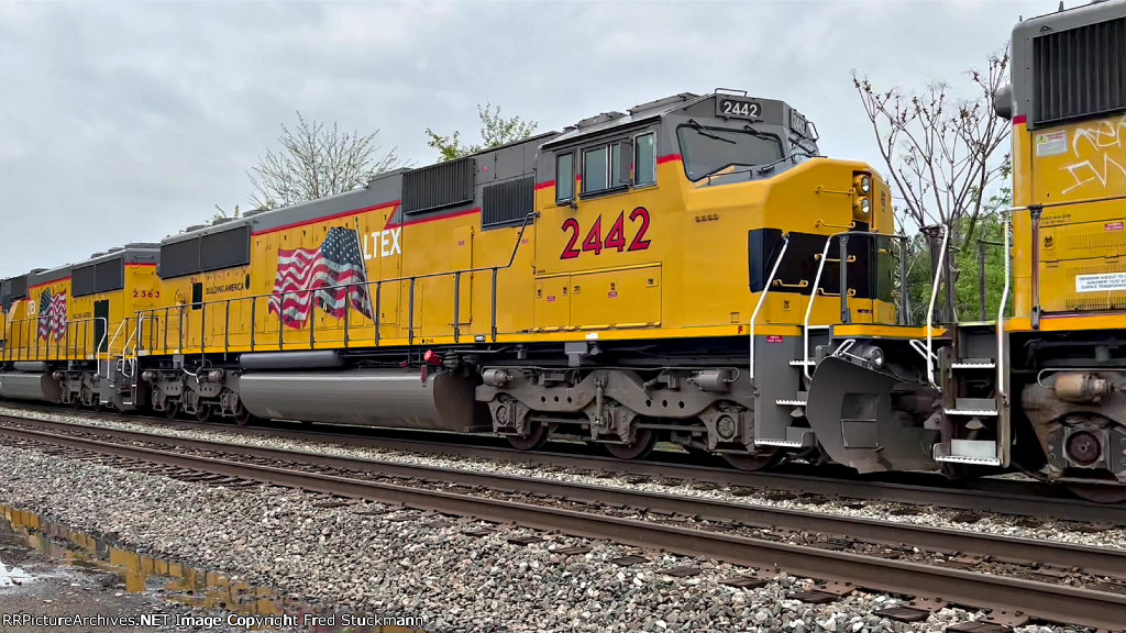 UP 2442 and as LTEX 2442, she's new to rrpa.